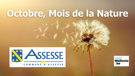 Illustration de l'actualité - cliquer pour agrandir