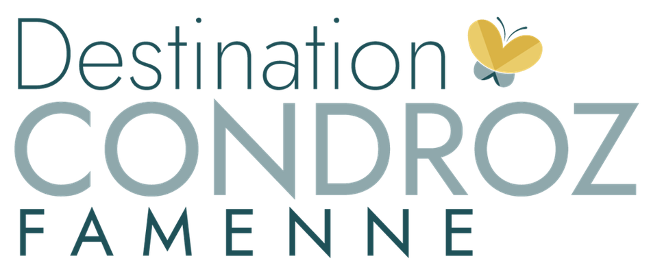 logo mtcf