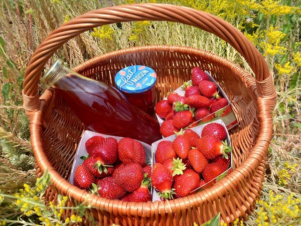 ramene ta fraise 2